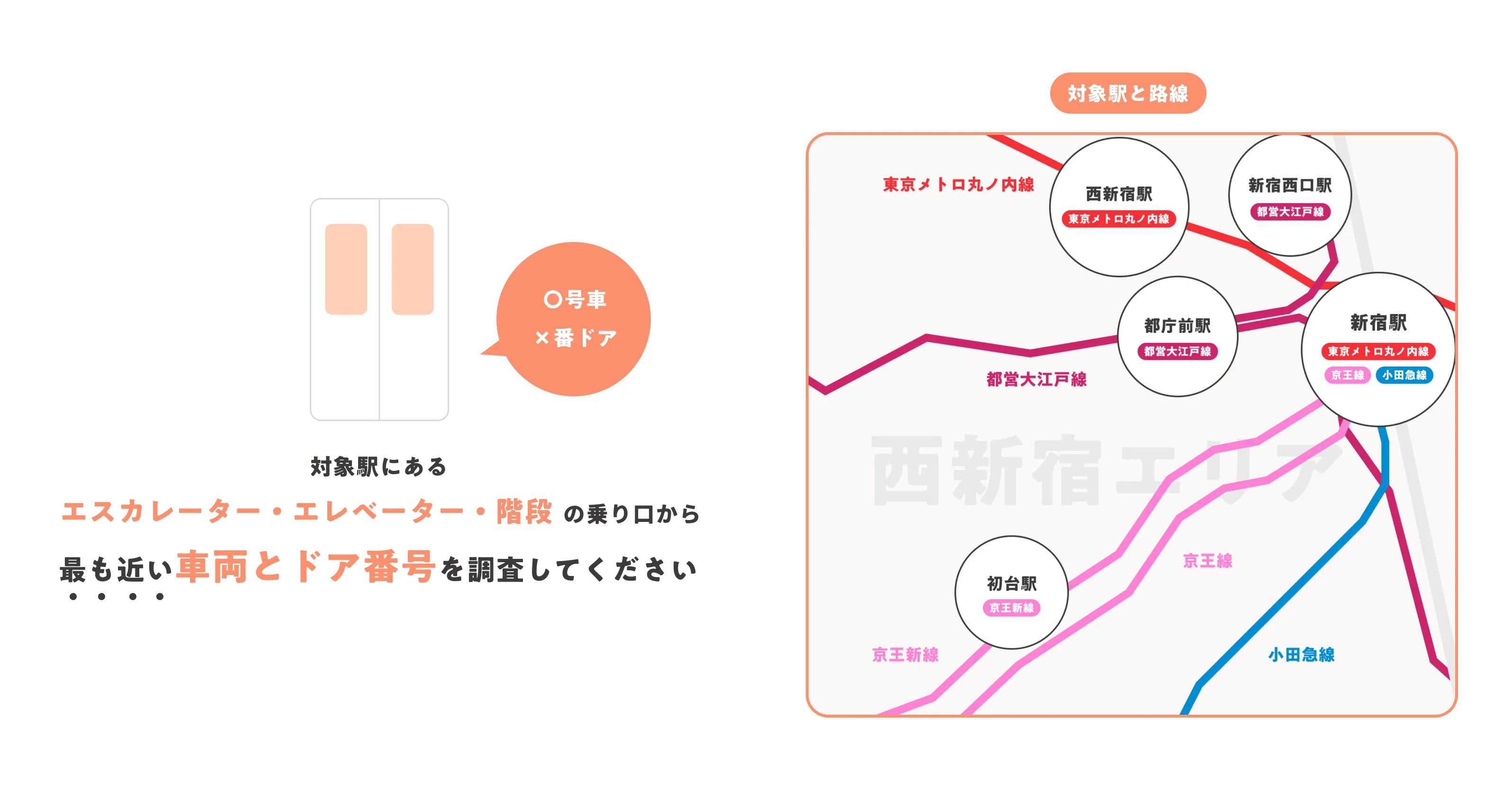 今回の調査内容